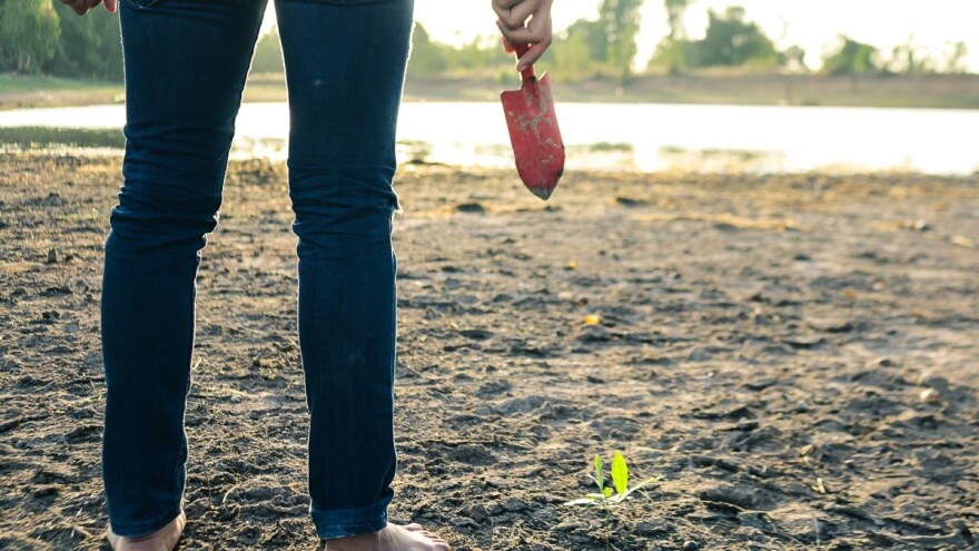 Krenula su izdavanja ugovora za obnovu poljoprivrednog zemljišta i proizvodnog potencijala!