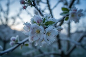 April je opet bio nesklon poljoprivrednicima