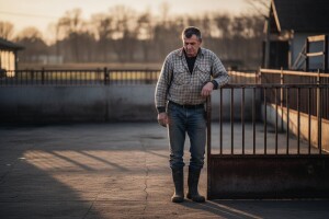 Apsurd hrvatskog svinjogojstva