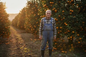 Apsurd novog Zakona o poticanju zapošljavanja