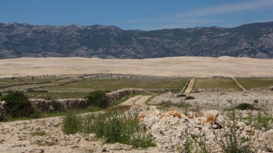 Dodjela zakupa u Općini Stankovci