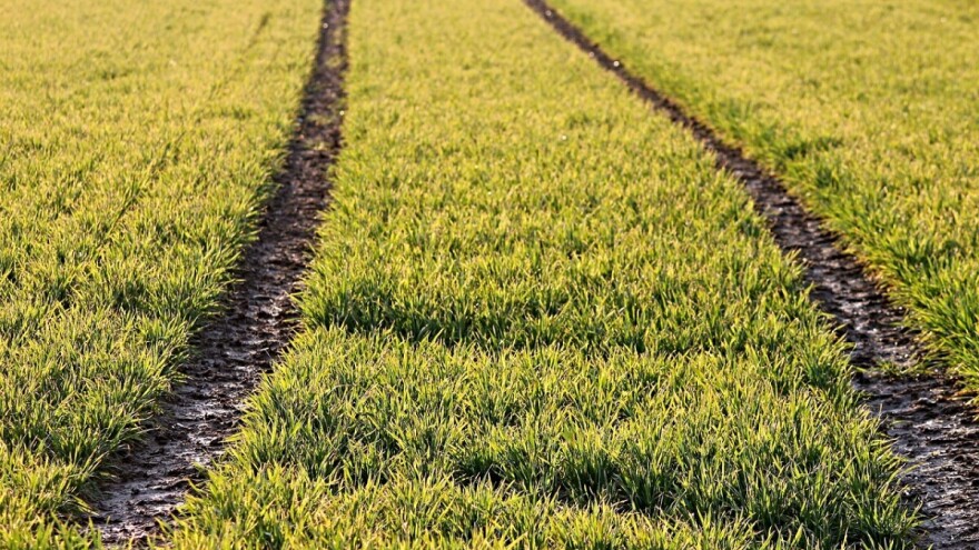 Donesena Uredba o registru podsticaja u RS