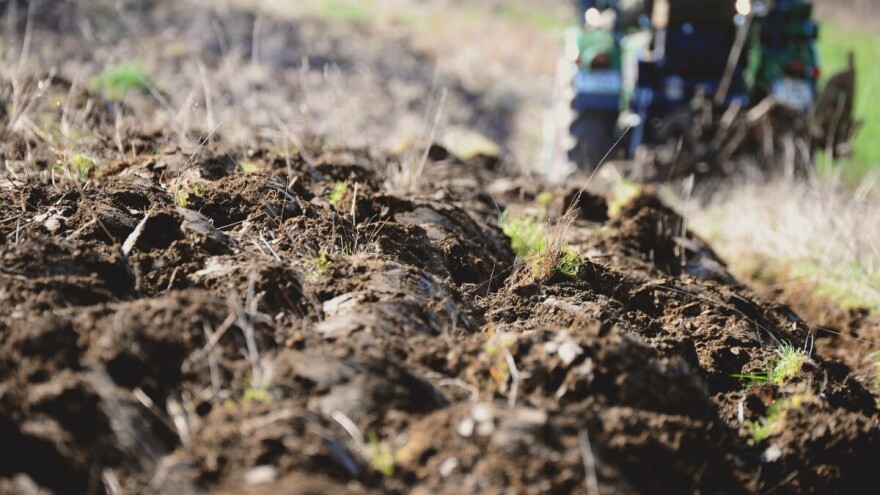 Dodjela zemljišta će unaprijediti ili unazaditi poljoprivredu?