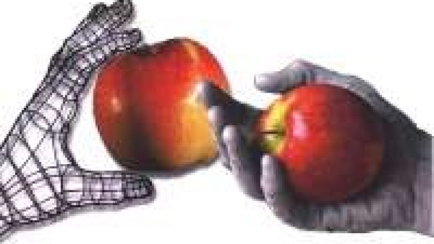 Sajam Agro Arca očekuje 150 izlagača u Slatini