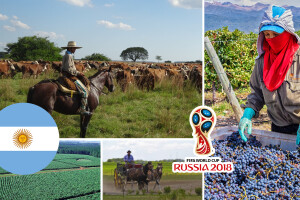 Argentina - zemlja vina, govedine, soje i pšenice u kojoj je jedno ime zabranjeno dati djetetu