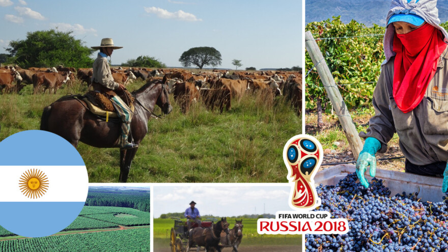 Argentina - zemlja vina, govedine, soje i pšenice u kojoj je jedno ime zabranjeno dati djetetu