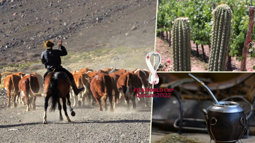 Nakon sambe - tango, a gdje je Argentina s poljoprivredom?