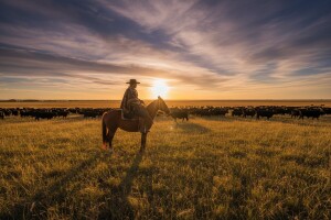 Argentina - zemlja govedine koja izvozi i tango