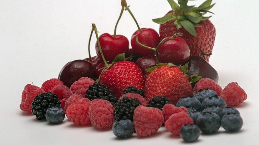 Prva složena zadruga u Srbiji baviće se voćem