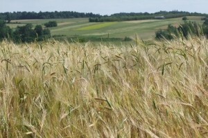 U ARKOD ne želi 30.000 poljoprivrednika