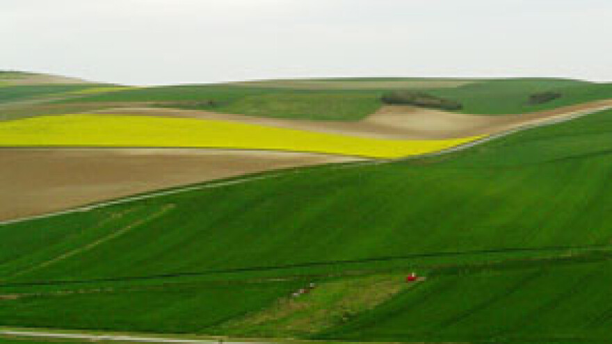 Granice ARKOD parcela ne moraju slijediti granice katastarskih čestica
