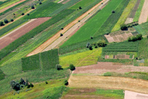 Ažuriranje ARKOD parcela temeljem novih digitalnih ortofoto karata
