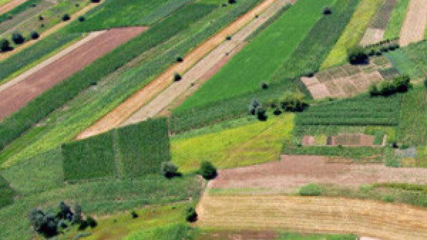 Ažuriranje ARKOD parcela temeljem novih digitalnih ortofoto karata