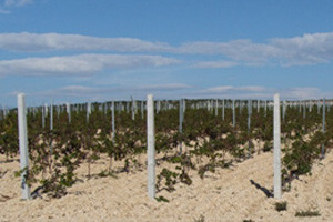Opremanje vinograda s vinogradarskom armaturom