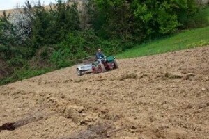 Za razvoj voćarstva 1,6 milijuna kuna