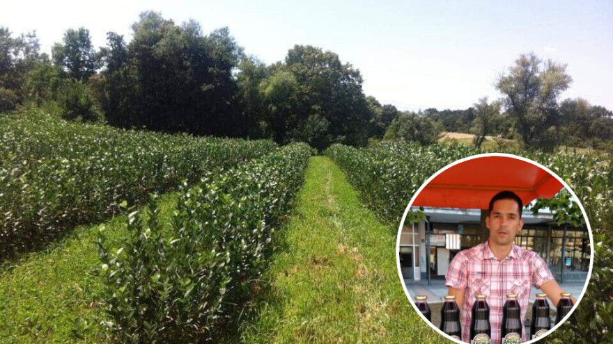 Muminovići uspješno spojili uzgoj aronije i fudbal