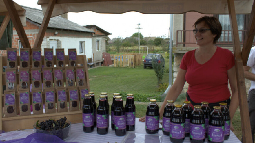 Na 1 ha u Antinu 2.000 sadnica aronije