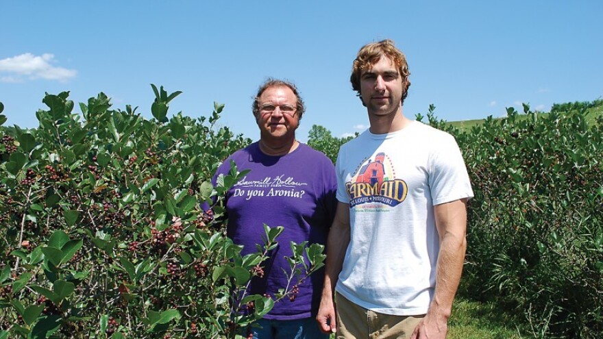 Aronija iz istočne Europe na domaćem tržištu?