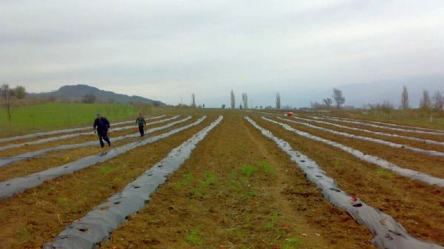 Uz podršku oca do ispunjenja sna