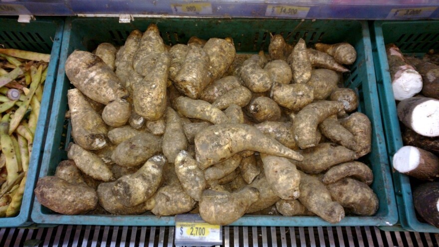 Ono što je nama krompir, to je Latinoamerikancima arakača