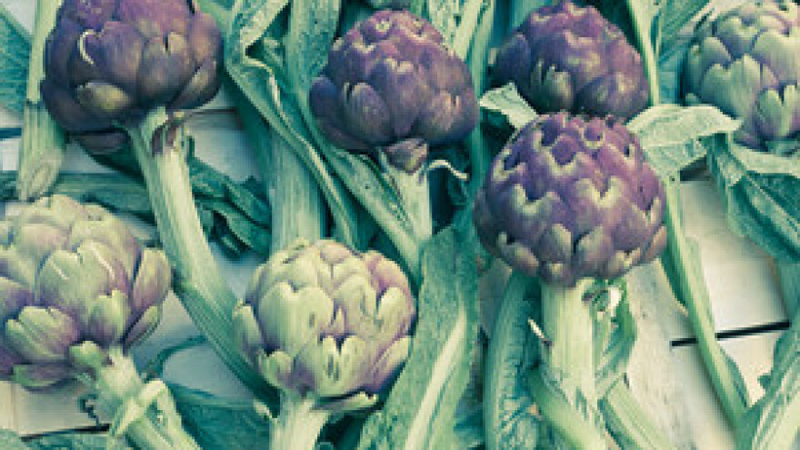 Svjetski dan hrane u Osijeku