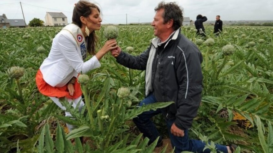 Zaštita za artičoku, belgijski krumpir i grah!