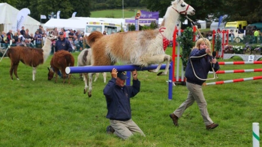 Ashover sajam u Engleskoj za sve dobne skupine!