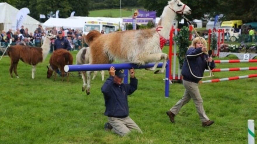 Ashover sajam u Engleskoj za sve dobne skupine!