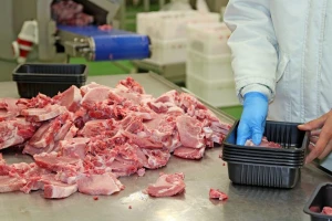 Brazilski izvoz svinjetine porastao za 44%: Afrička svinjska kuga utiče i na cijenu?