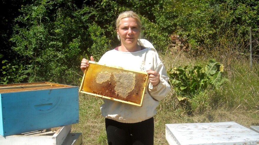 Kad je žena šef u pčelinjaku, a muškarac ispomoć?