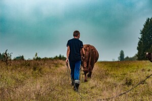 Udruga Život: Katastrofalno stanje u odobravanju mjere 4. Programa ruralnog razvoja