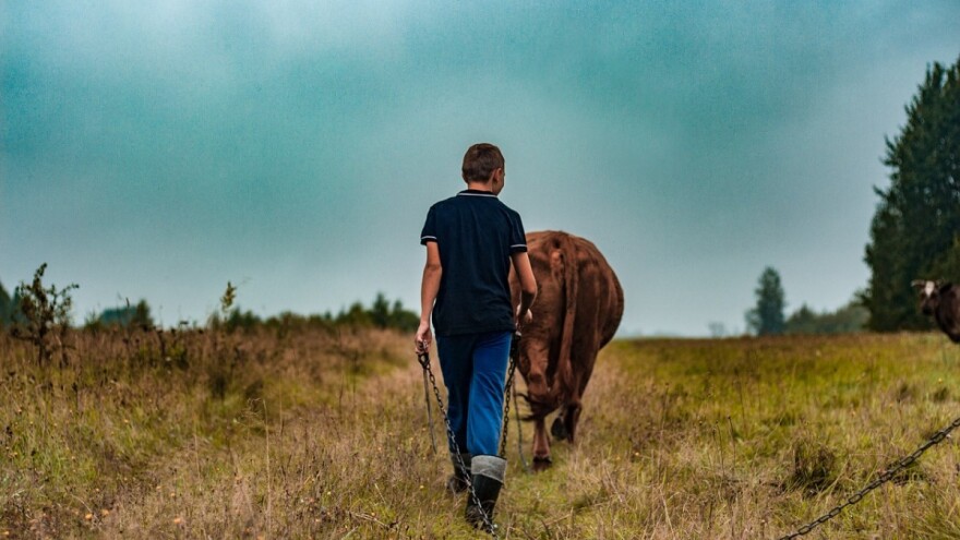 Udruga Život: Katastrofalno stanje u odobravanju mjere 4. Programa ruralnog razvoja