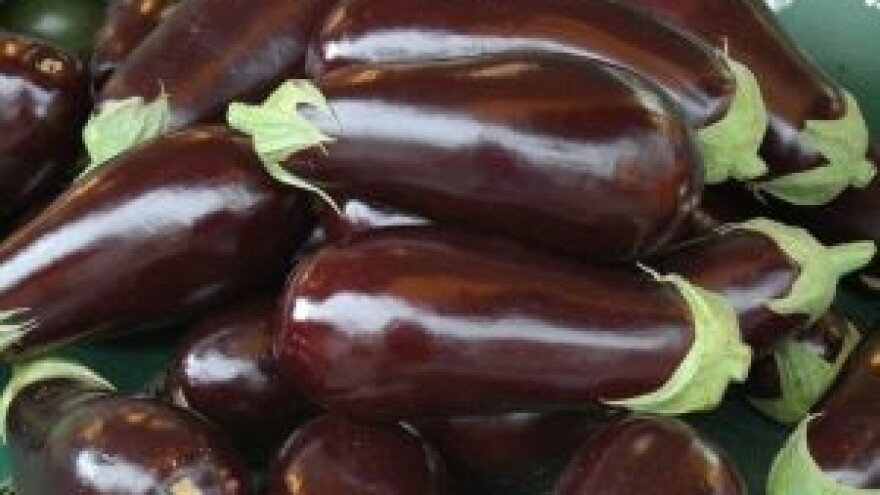 Zaštitite povrće u plastenicima od pauka i plamenjače