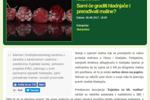 Otkupna cijena maline u fokusu augusta