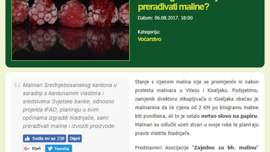 Otkupna cijena maline u fokusu augusta