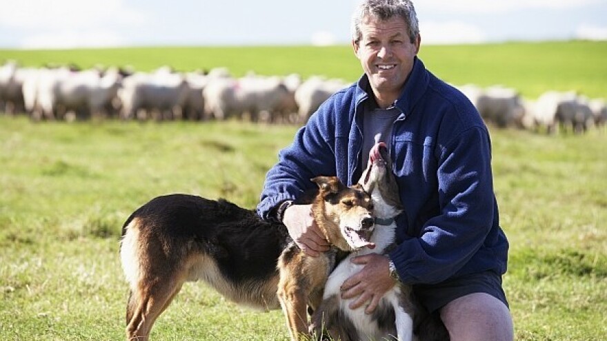 Može li HR poljoprivreda krenuti austrijskim putem?