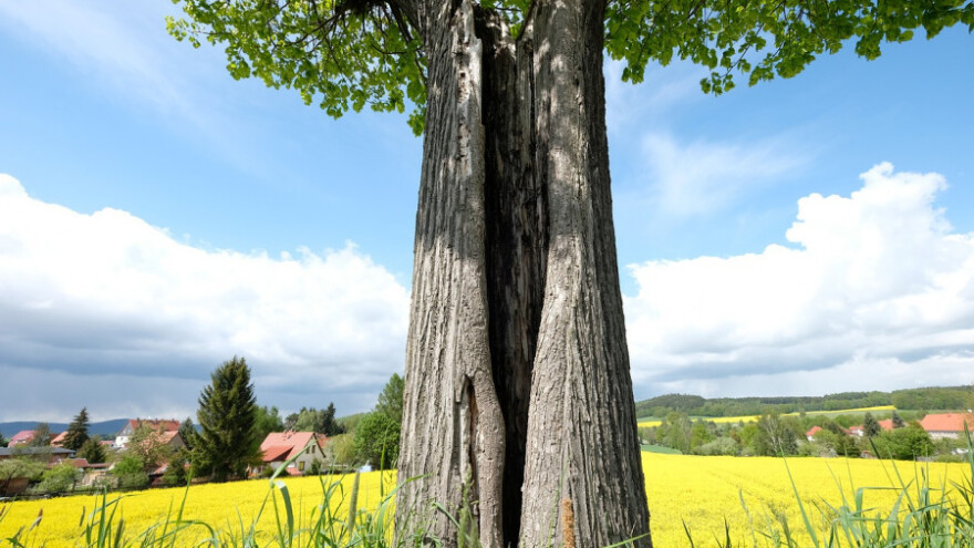 Sunčano pa oblačno uz kišu!