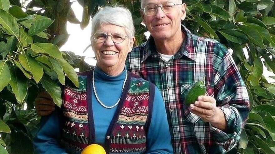 Bavili se poljoprivredom u SAD-u, a sada uzgajaju avokado na Visu