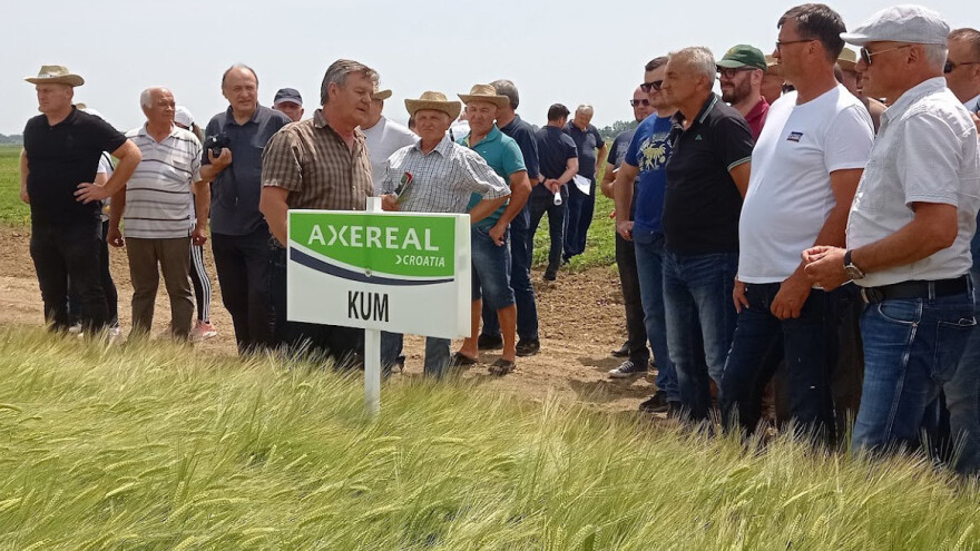 Pred nama je izazovna žetva pivarskog ječma s visokim cijenama
