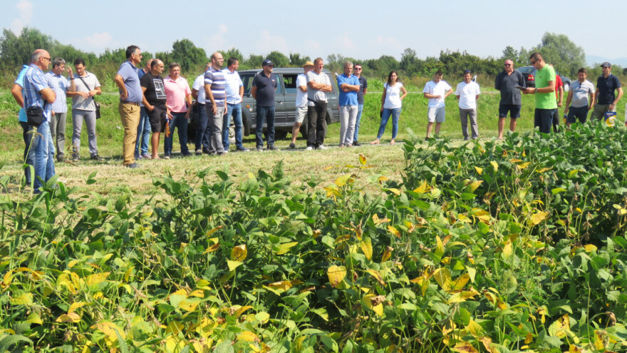 Axereal Croatia pokazao vrhunske sorte kukuruza, soje i suncokreta na pokusnim poljima PPK Nova Gradiška