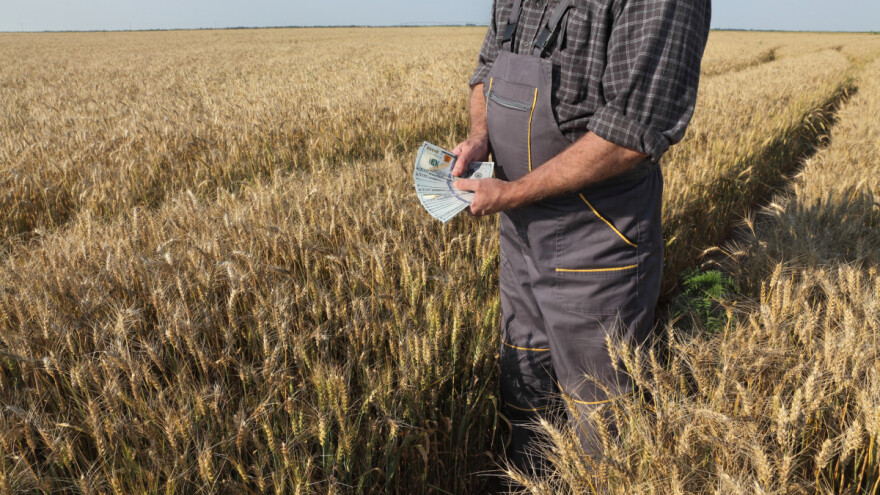 Sa 500 miliona dolara podstiču ratare da udvostruče površine pod pšenicom