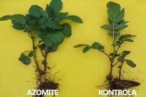 Azomite - prirodan izvor minerala i elemenata u tragovima