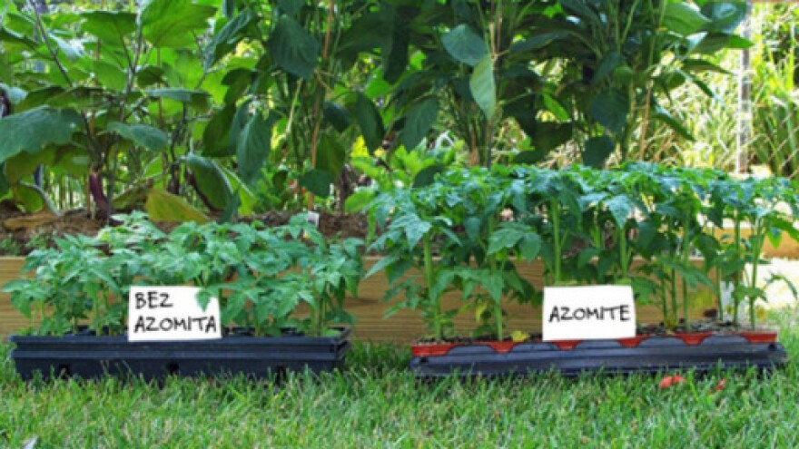Azomite nadoknađuje izgubljene minerale u tlu!