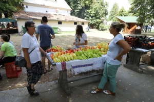Dan povrća 15. avgusta u Gložanu