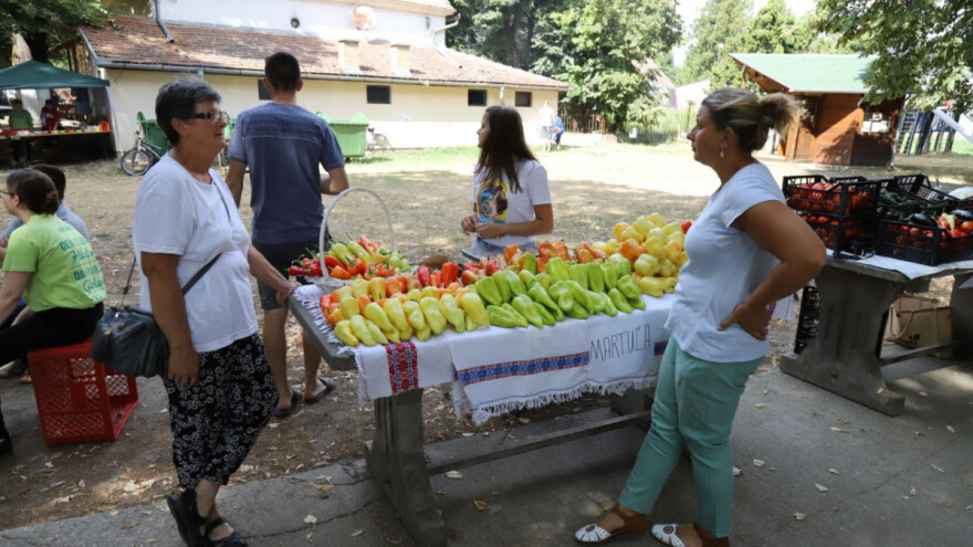 Dan povrća 15. avgusta u Gložanu
