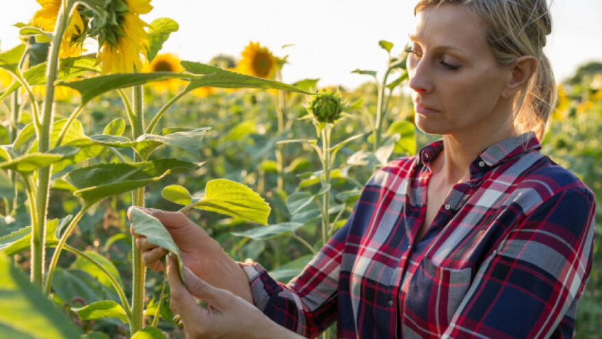 Gdje su manja ulaganja, a veća otkupna cijena?
