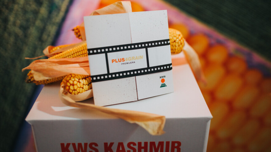 Premijerom PLUS4GRAIN hibrida kukuruza najavljena nova KWS era