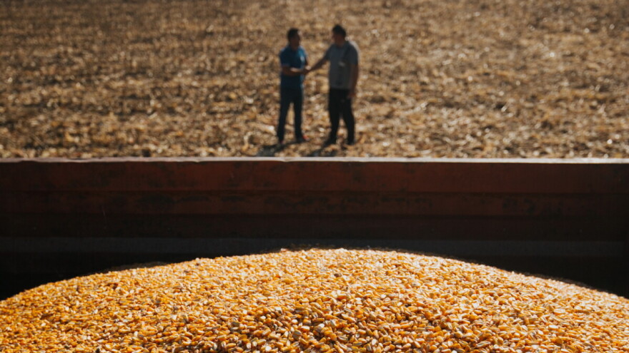 Vrhunski prinosi zrna i silaže na čak 142 pokusna polja!