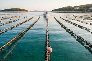 B2B@EUSAIR Forum 2016