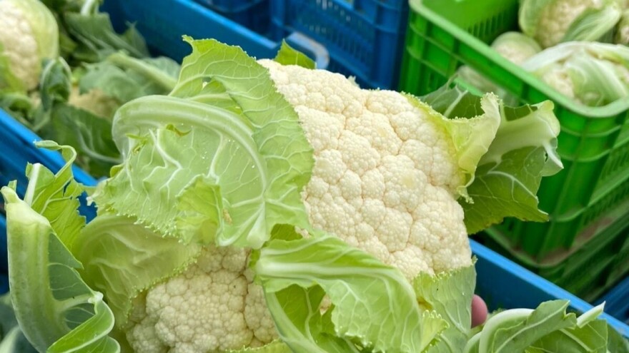 Kada je karfiol spreman za berbu u zatvorenom i na šta obratiti pažnju?